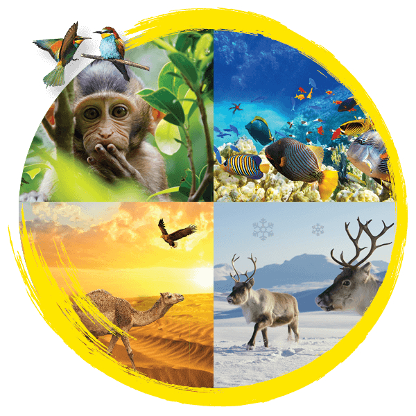 Image for babies course